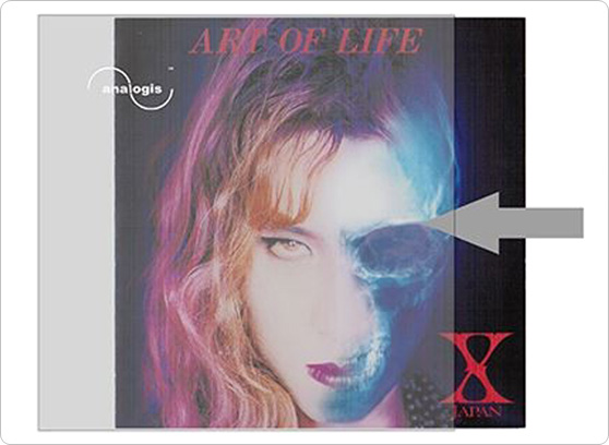 Analogis Koszulki zewnętrzne - cecha 1